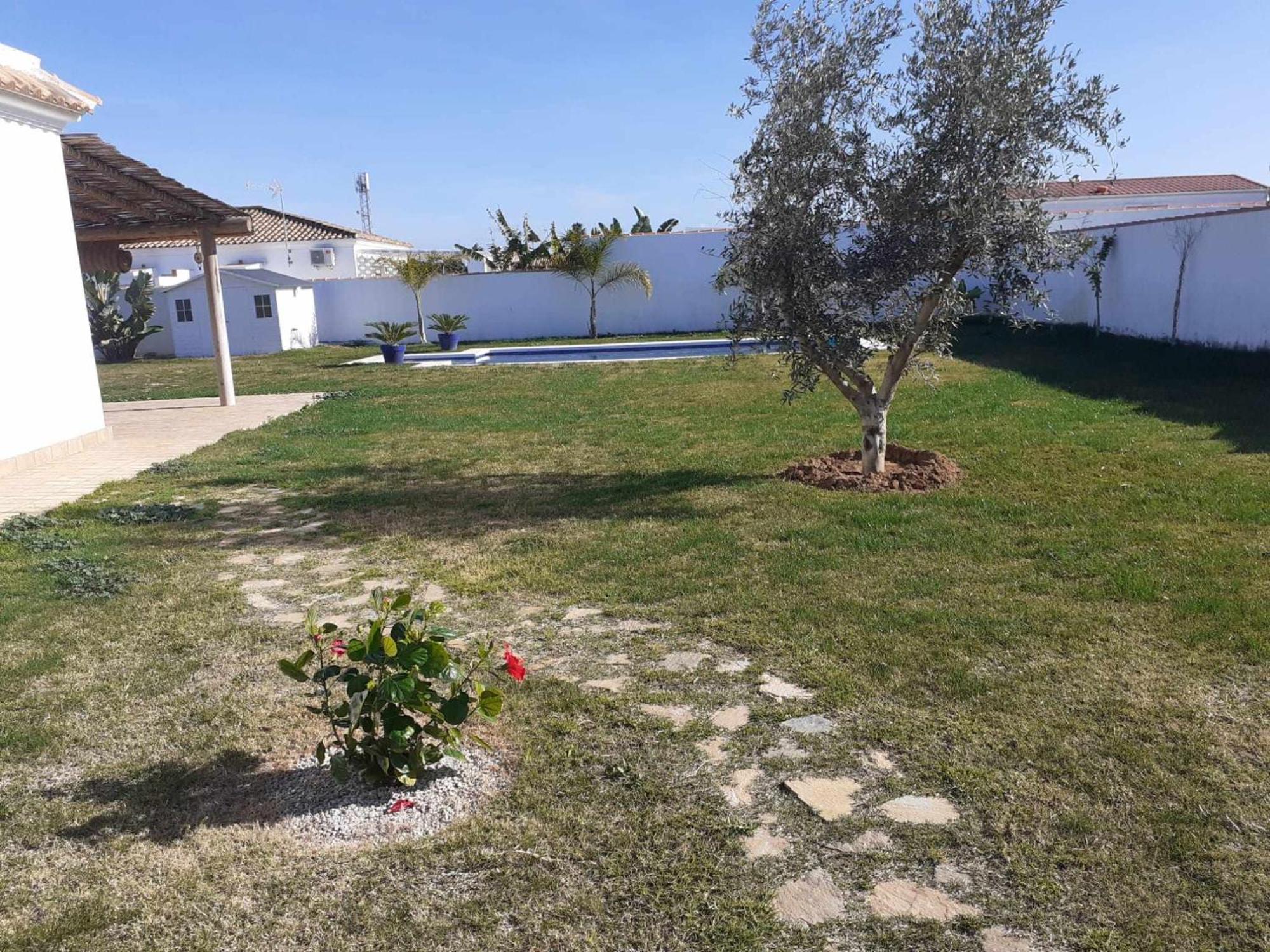 Las Casitas De La Barrosa Con Jardin Y Piscina شيكلانا دي لا فرونتيرا الغرفة الصورة