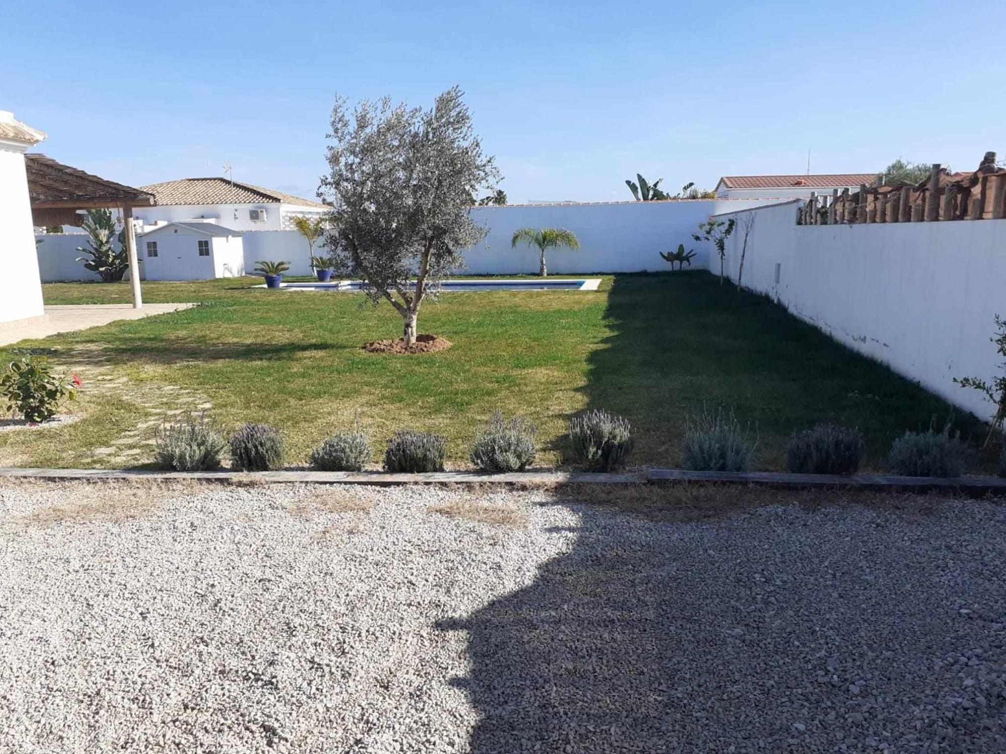 Las Casitas De La Barrosa Con Jardin Y Piscina شيكلانا دي لا فرونتيرا الغرفة الصورة